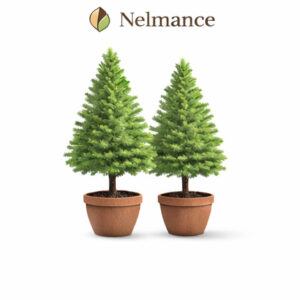 Artificial Cedar Topiary Tree (Set of 2 – 3ft)