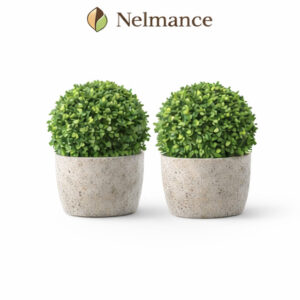 Mini Boxwood Topiary Balls (Set of 2)