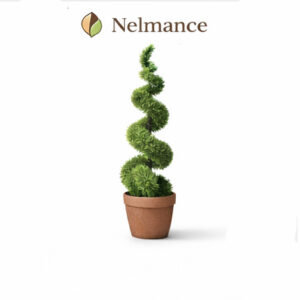 Tall Spiral Cedar Topiary Tree (5ft)