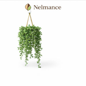 Artificial Hanging Ivy Plant
