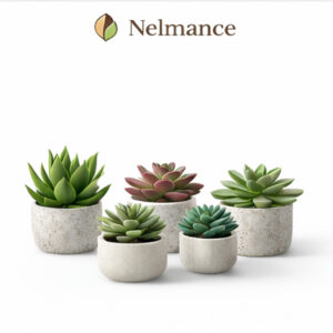 Decorative Succulent Set (Pack of 4)